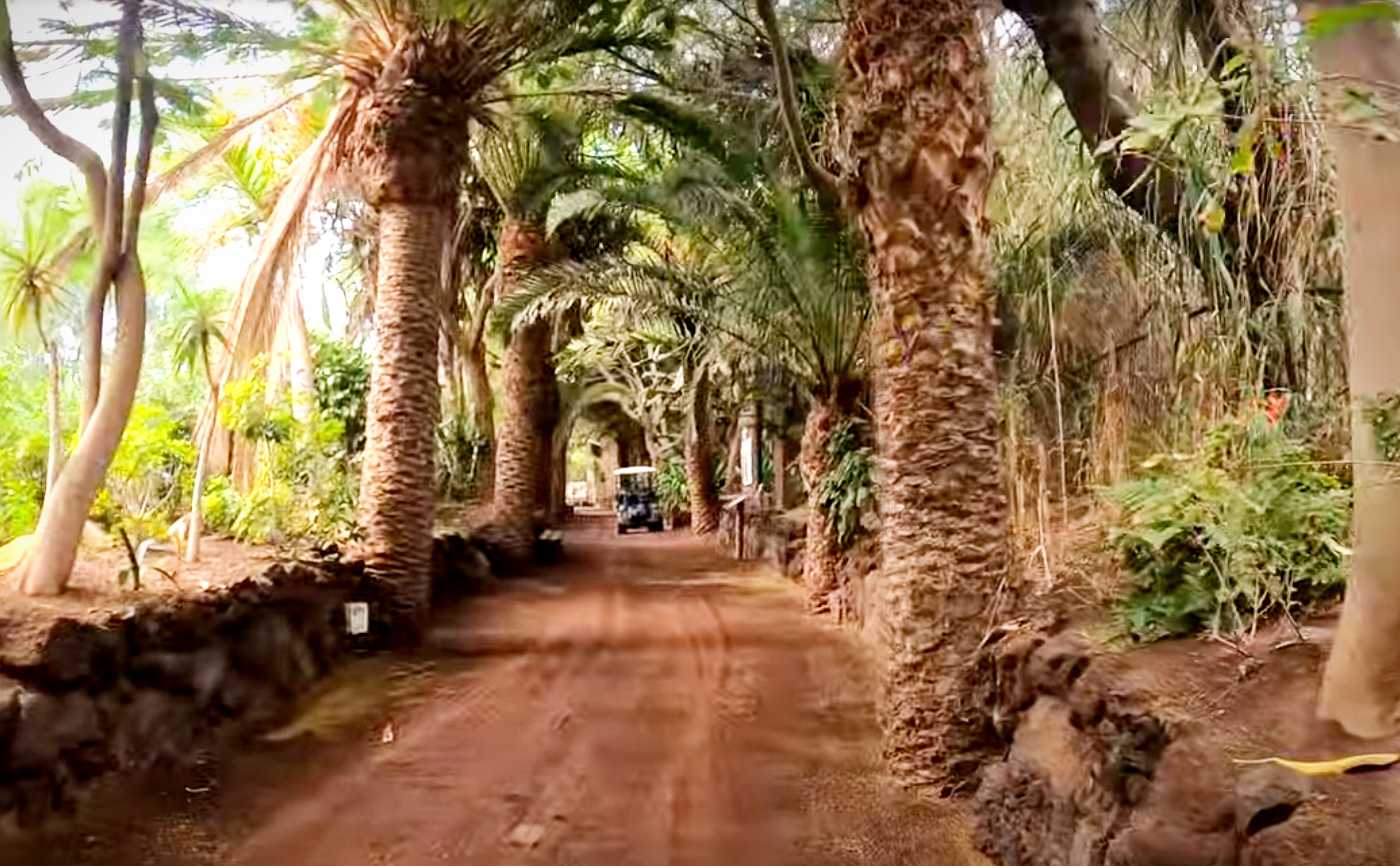 Oasis Park Fuerteventura – zábavní park pro rodiny s dětmi